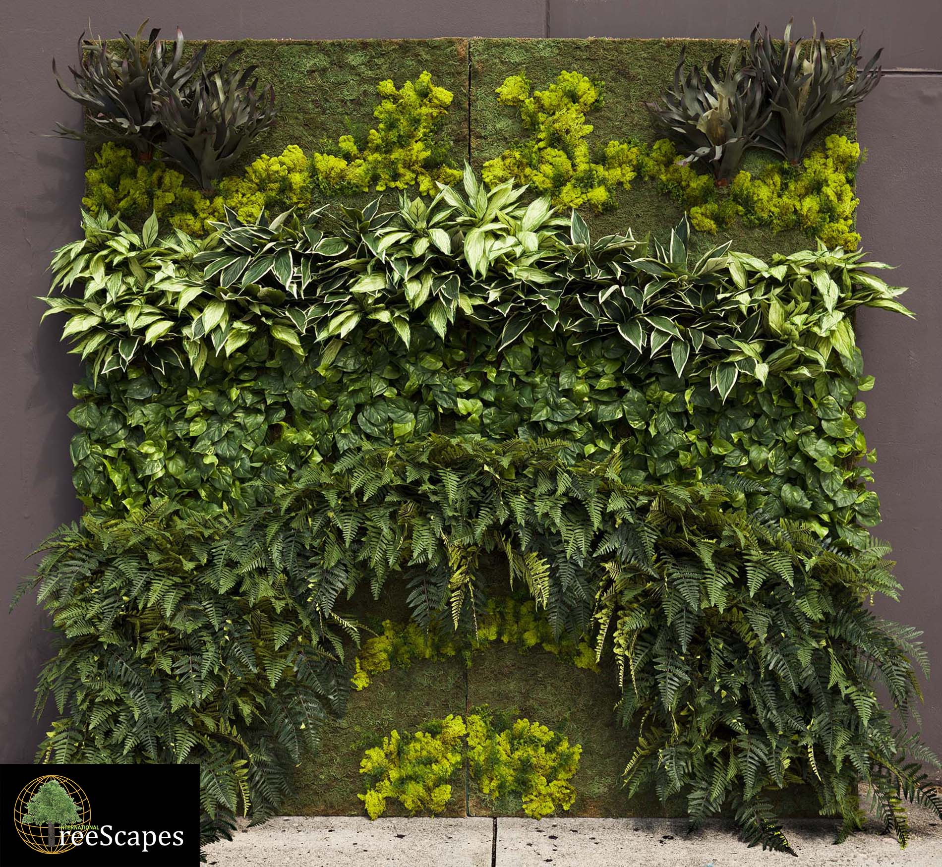 Artificial Tropical Green Wall by International TreeScapes ...